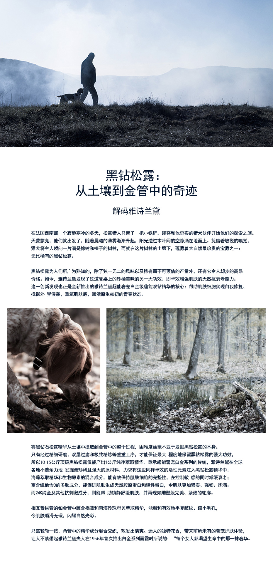 黑钻松露：从土壤到金管中的奇迹