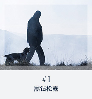 黑钻松露